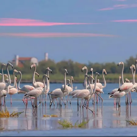 Διαμέρισμα Casa Nana