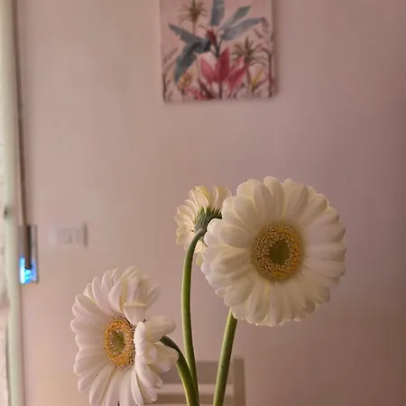 Apartmán Casa Nana Lido Adriano